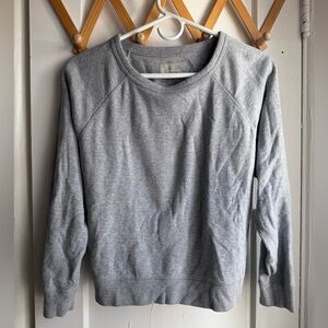 Everlane Raglan style Sweatshirt